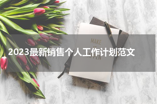 2023最新销售个人工作计划范文