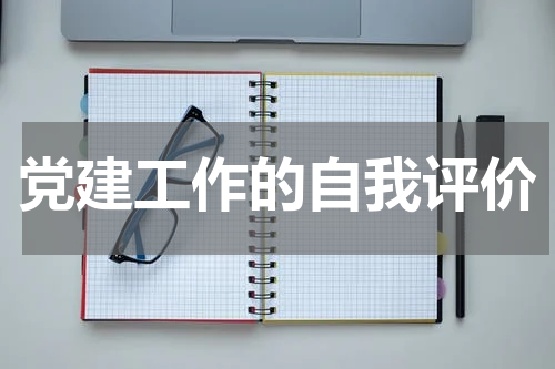 党建工作的自我评价