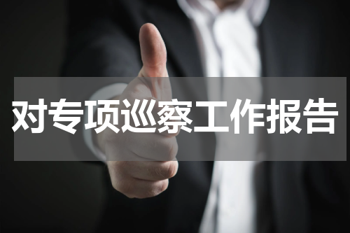 对专项巡察工作报告