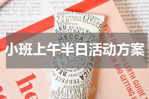 小班上午半日活动方案