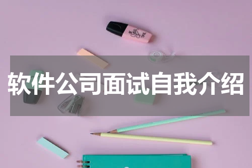 软件公司面试自我介绍