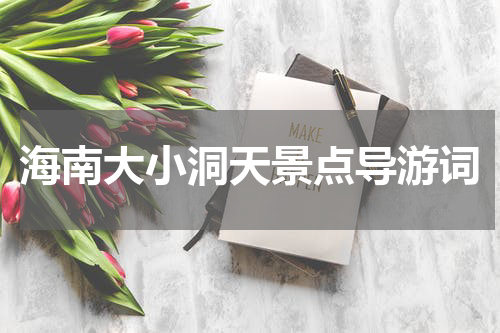 海南大小洞天景点导游词