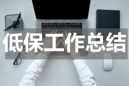 低保工作总结