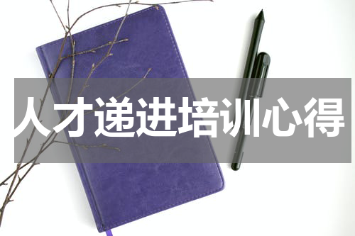 人才递进培训心得