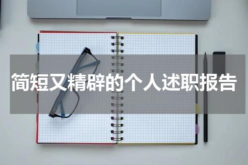简短又精辟的个人述职报告
