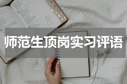 师范生顶岗实习评语