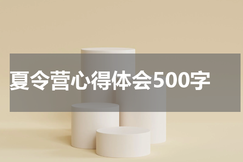 夏令营心得体会500字