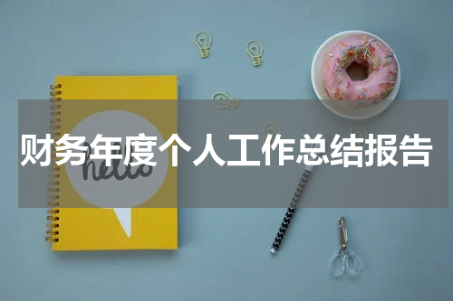 财务年度个人工作总结报告