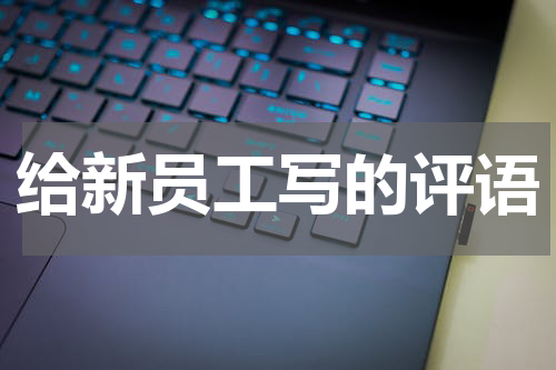 给新员工写的评语