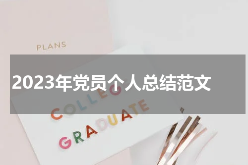 2023年党员个人总结范文