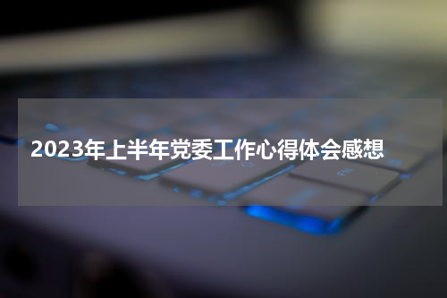 2023年上半年党委工作心得体会感想