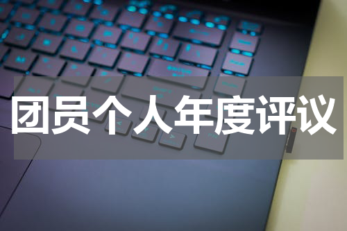团员个人年度评议