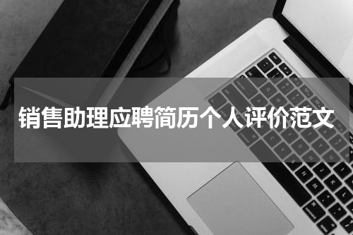销售助理应聘简历个人评价范文