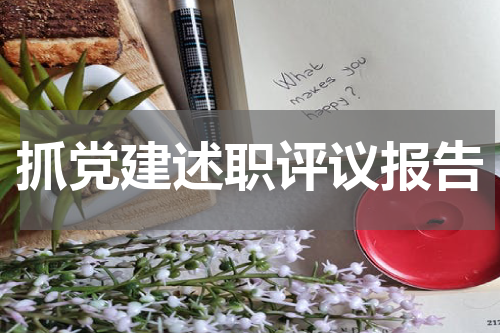抓党建述职评议报告