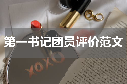 第一书记团员评价范文