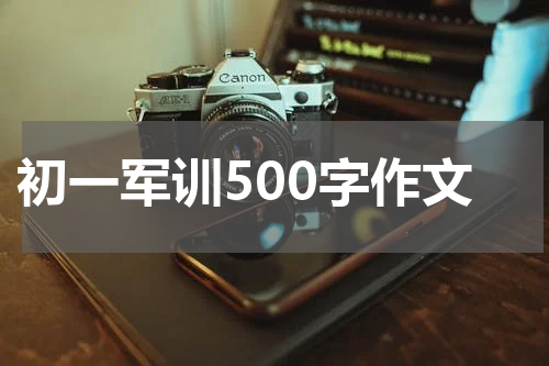 初一军训500字作文