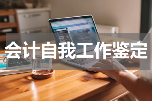会计自我工作鉴定