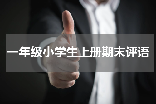 一年级小学生上册期末评语