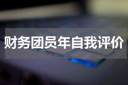 财务团员年自我评价