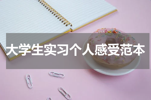 大学生实习个人感受范本