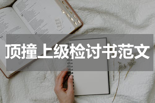 顶撞上级检讨书范文