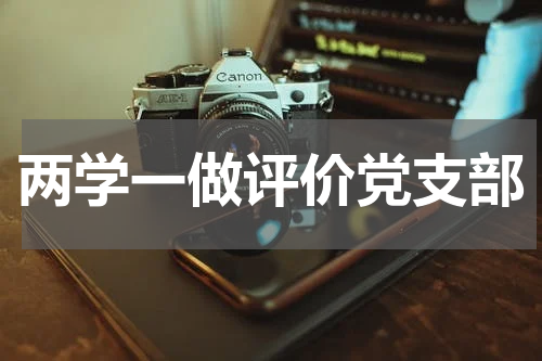 两学一做评价党支部
