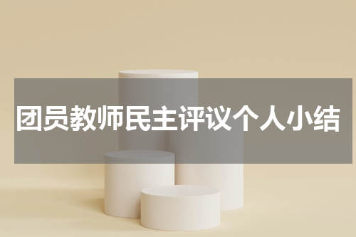 团员教师民主评议个人小结