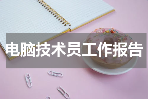 电脑技术员工作报告