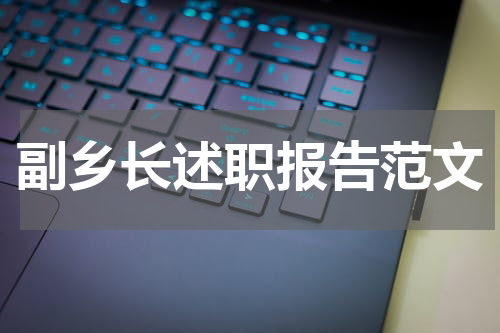 副乡长述职报告范文