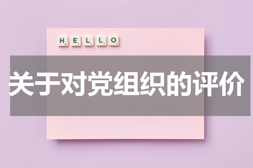 关于对党组织的评价