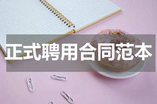 正式聘用合同范本