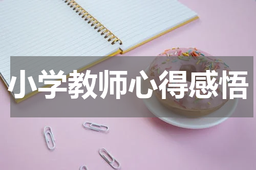 小学教师心得感悟