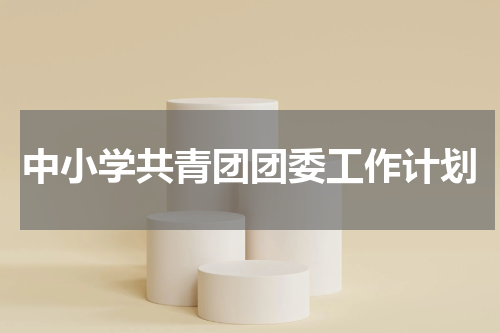 中小学共青团团委工作计划