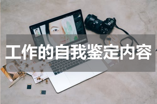 工作的自我鉴定内容