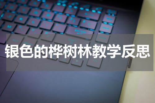 银色的桦树林教学反思