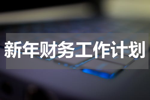 新年财务工作计划