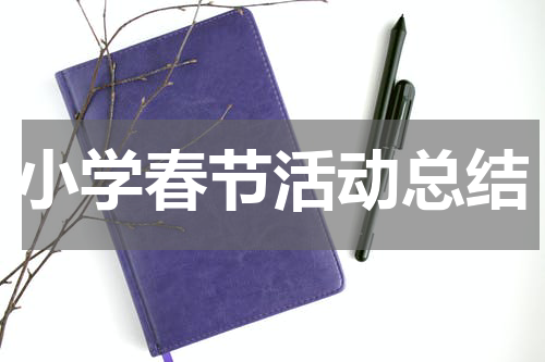 小学春节活动总结
