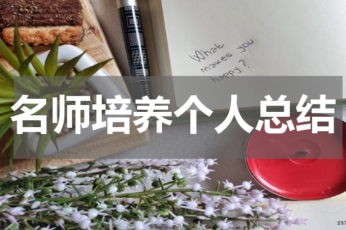 名师培养个人总结