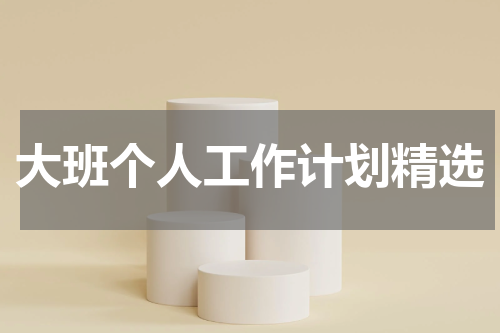 大班个人工作计划精选