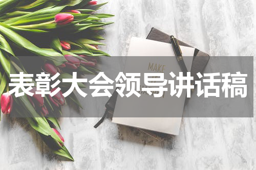 表彰大会领导讲话稿