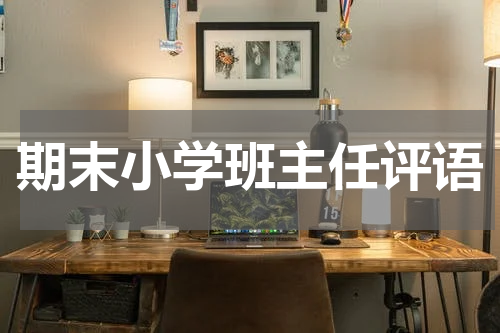期末小学班主任评语