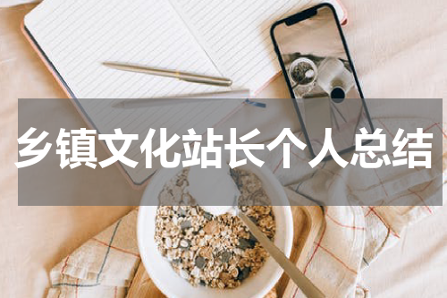 乡镇文化站长个人总结