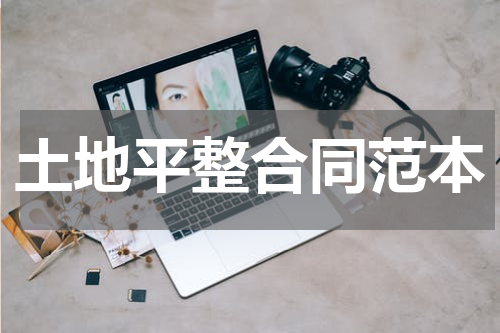 土地平整合同范本