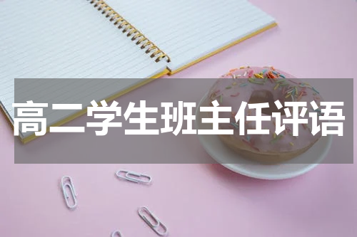 高二学生班主任评语