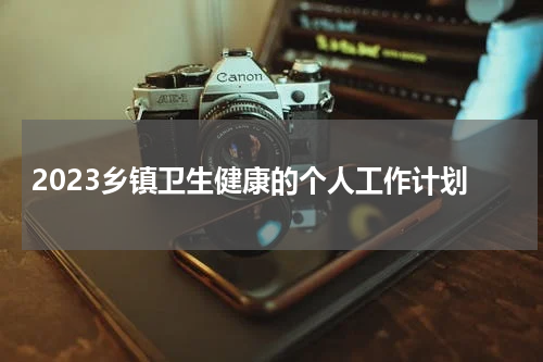 2023乡镇卫生健康的个人工作计划