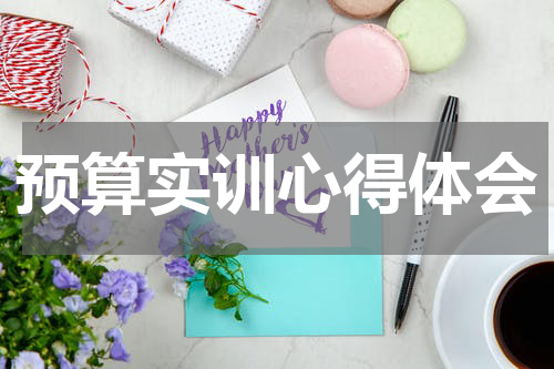 预算实训心得体会