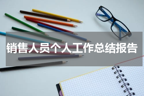 销售人员个人工作总结报告