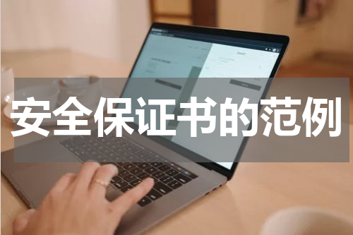 安全保证书的范例