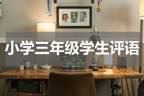 小学三年级学生评语
