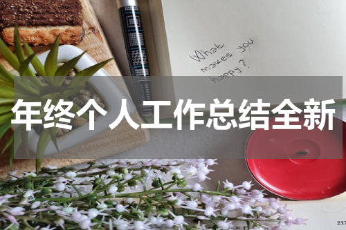 年终个人工作总结全新